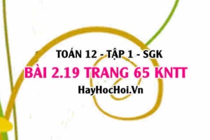 Bài 2.19 trang 65 Toán 12 tập 1 Kết nối tri thức